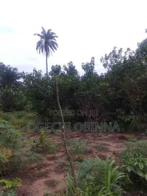 Distress Genuine Mass Land for Sale