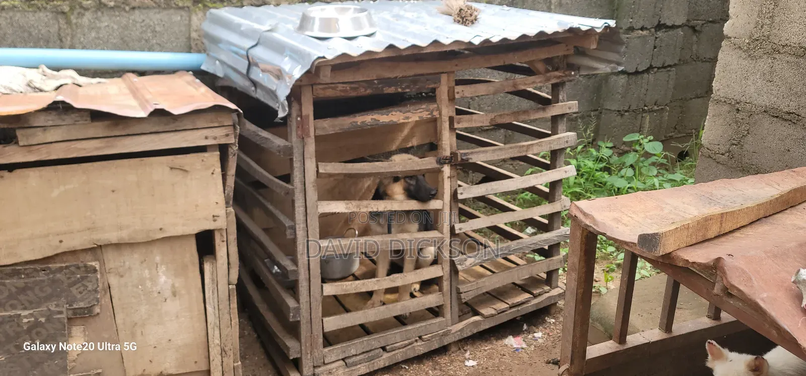 Wooden Cages