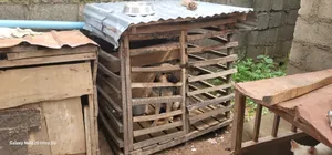 Wooden Cages