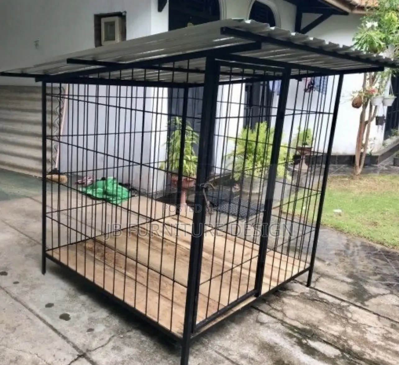 Dog Cagess