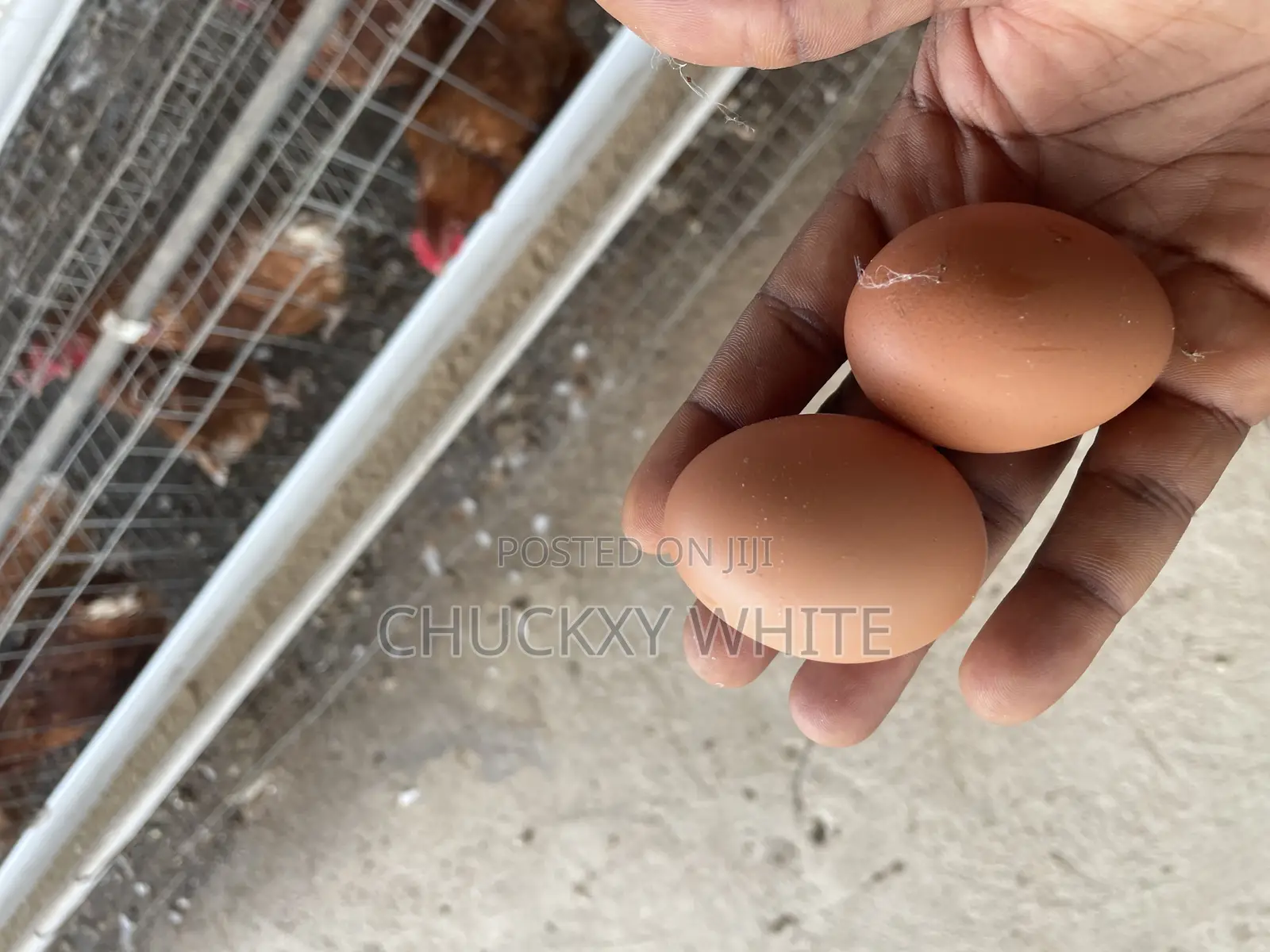 Farm Worker Needed