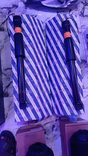 Bentley Muslenne Back Shocks