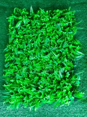 Artificial Wall Mats