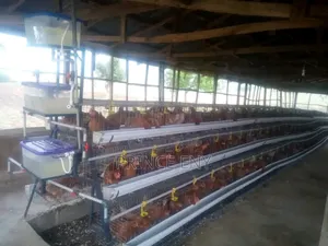 96/120/160capacity New Layers Cage