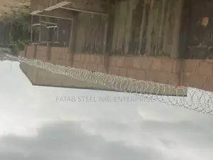 Anti Rust Concertina Wire: Security Razor Wire