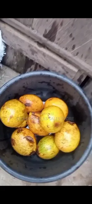 Abere Pod And Seed Or Osu Seed