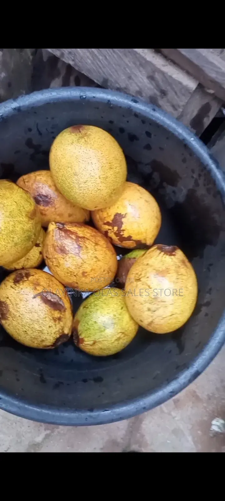 Abere Pod And Seed Or Osu Seed