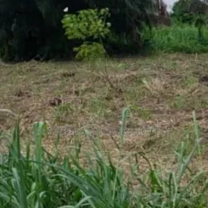 Over 20 Acres Of Land For Selling Per Acre At N30m
