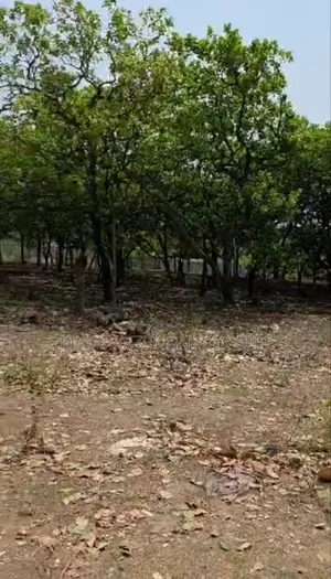 Plot for Sale- Size: 1534.74 M2 With Cofo