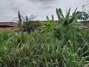 Half Plot of Land Opic Estate Close to Road