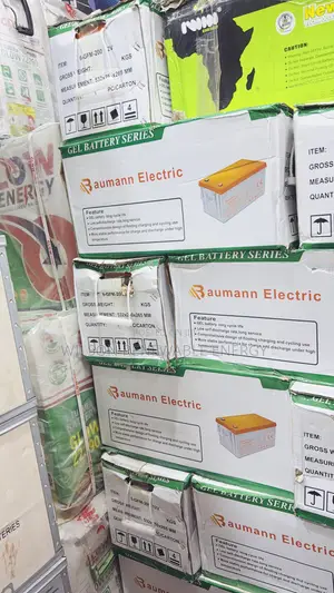 200ah Baumann Dry Cell Battery