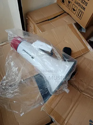 Mega Phone With Siren