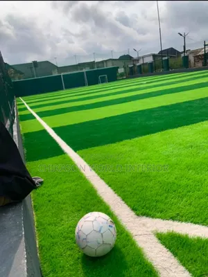 Standard 50mm Football  Grass