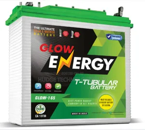 Glow Energy 220a Tubular Battery