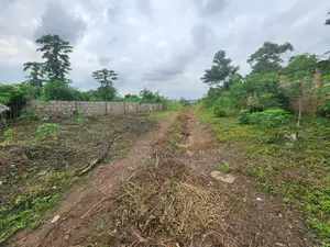 Fenced Land Plots for Sale- Perfect for Home or Business