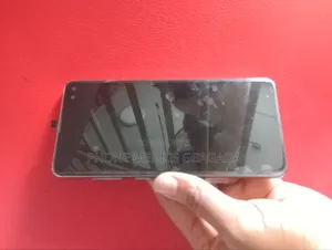 Samsung Galaxy S10 Plus TFT Screen With Frame