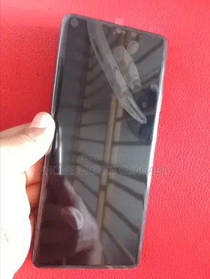 Samsung Galaxy S21 Ultra Oled Screen With Frame