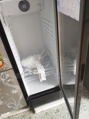 Bottle Cooler Skyrun With Low Voltage