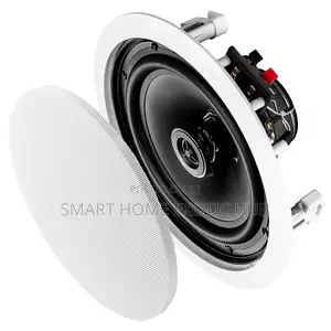 20w Ceiling Speaker