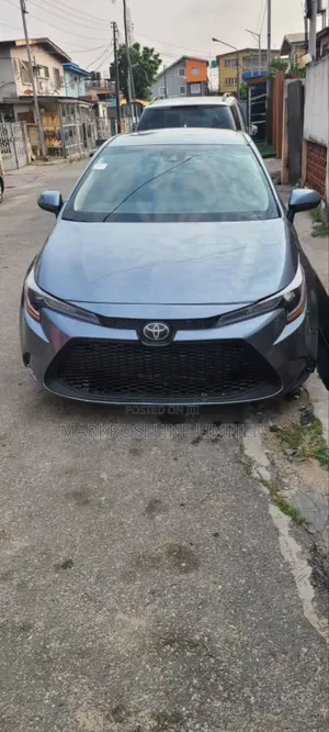 Toyota Corolla LE 2020 Gray