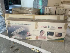 Solar Street Light 600watts Derik
