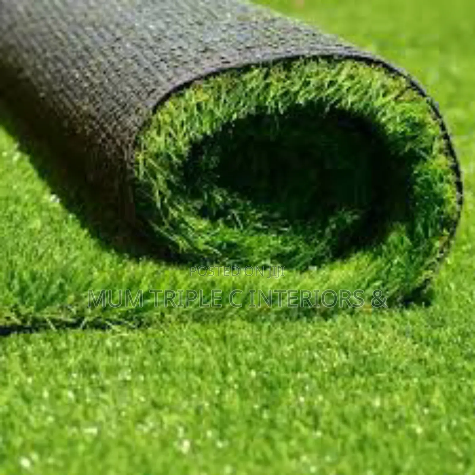 Grass. Carpet