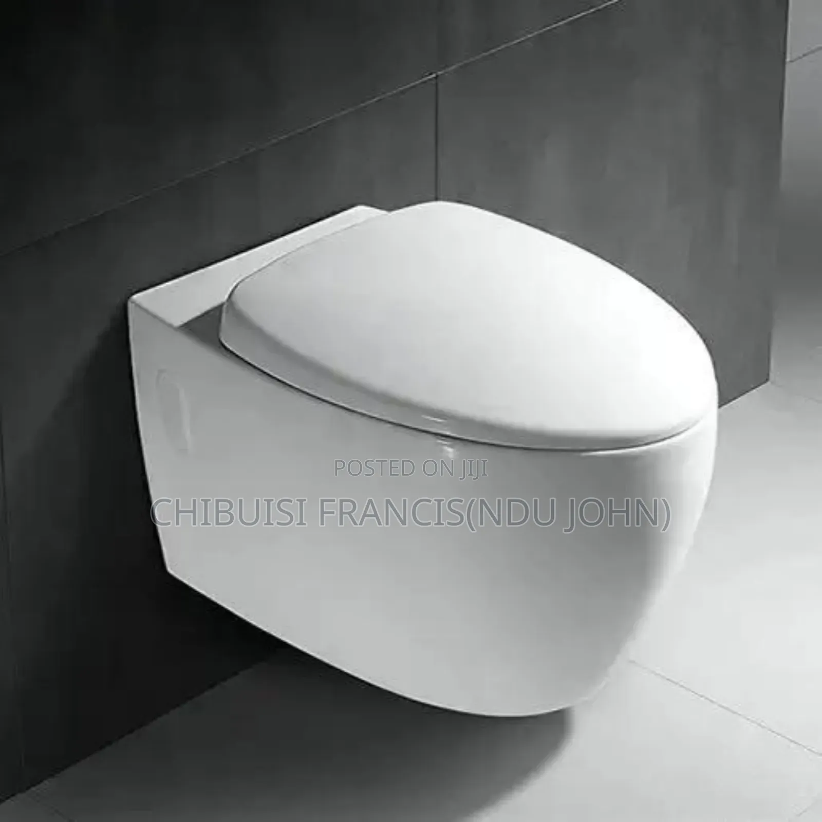 Concealed W/C Wall Hang