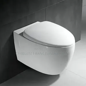 Concealed W/C Wall Hang