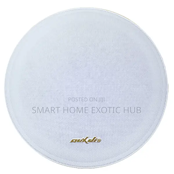 30w Frameless Bluetooth Ceiling Speaker