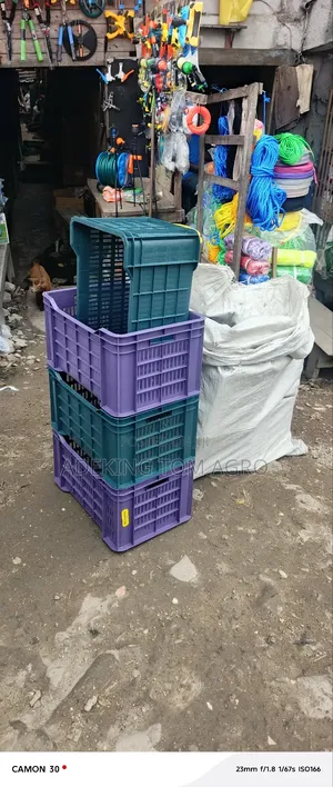 Tomatoes Harvest Crate