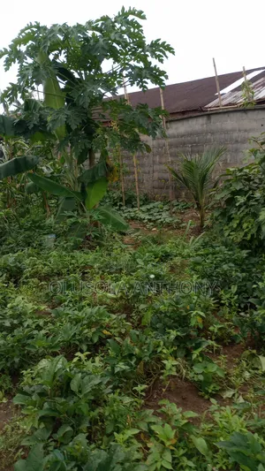 5 Plots of Land for Sale in Port Harcourt,Nigeria