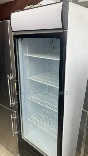 Standing Imported Display Chiller