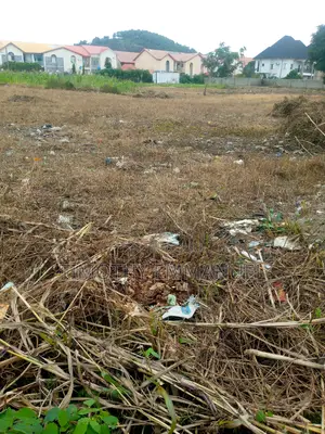 1.64 Hectares School Land in CBN Estate