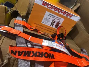Workman Safety Belt With Double Hook