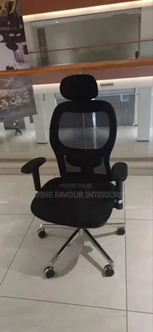 Authentic Fabric Director Chair With Headrest