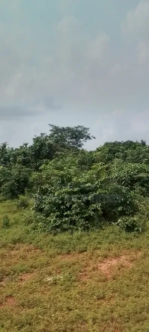 Land for Sale at Idah