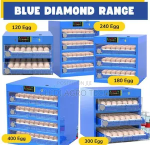 Egg Incubator All Sizes