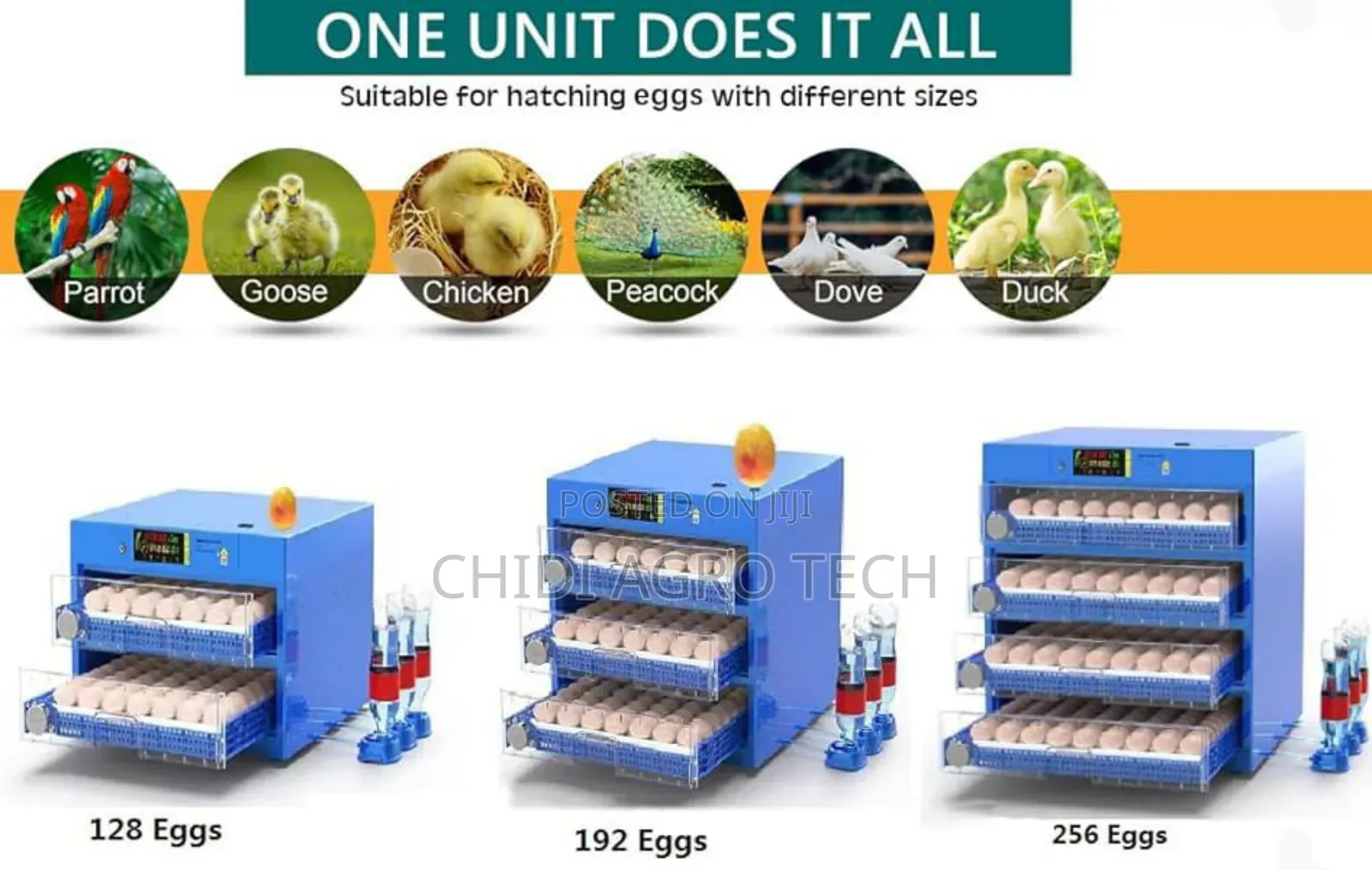 Egg Incubator All Sizes