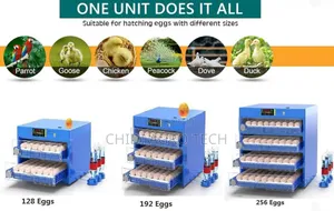 Egg Incubator All Sizes