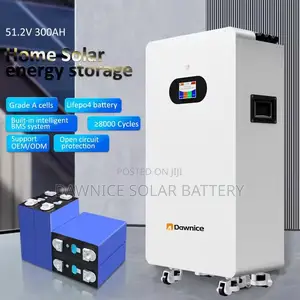 10 Years Warranty Lifepo4 51.2v 314ah 15kwh Lithium Batteries