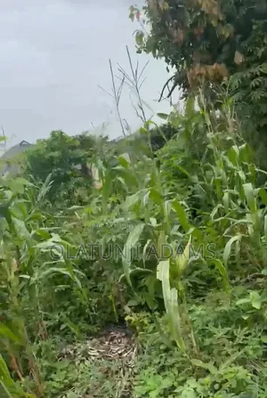 A Plot of Land at Owode Ede