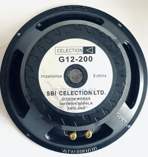 12 Inches Replacement Naked Speaker