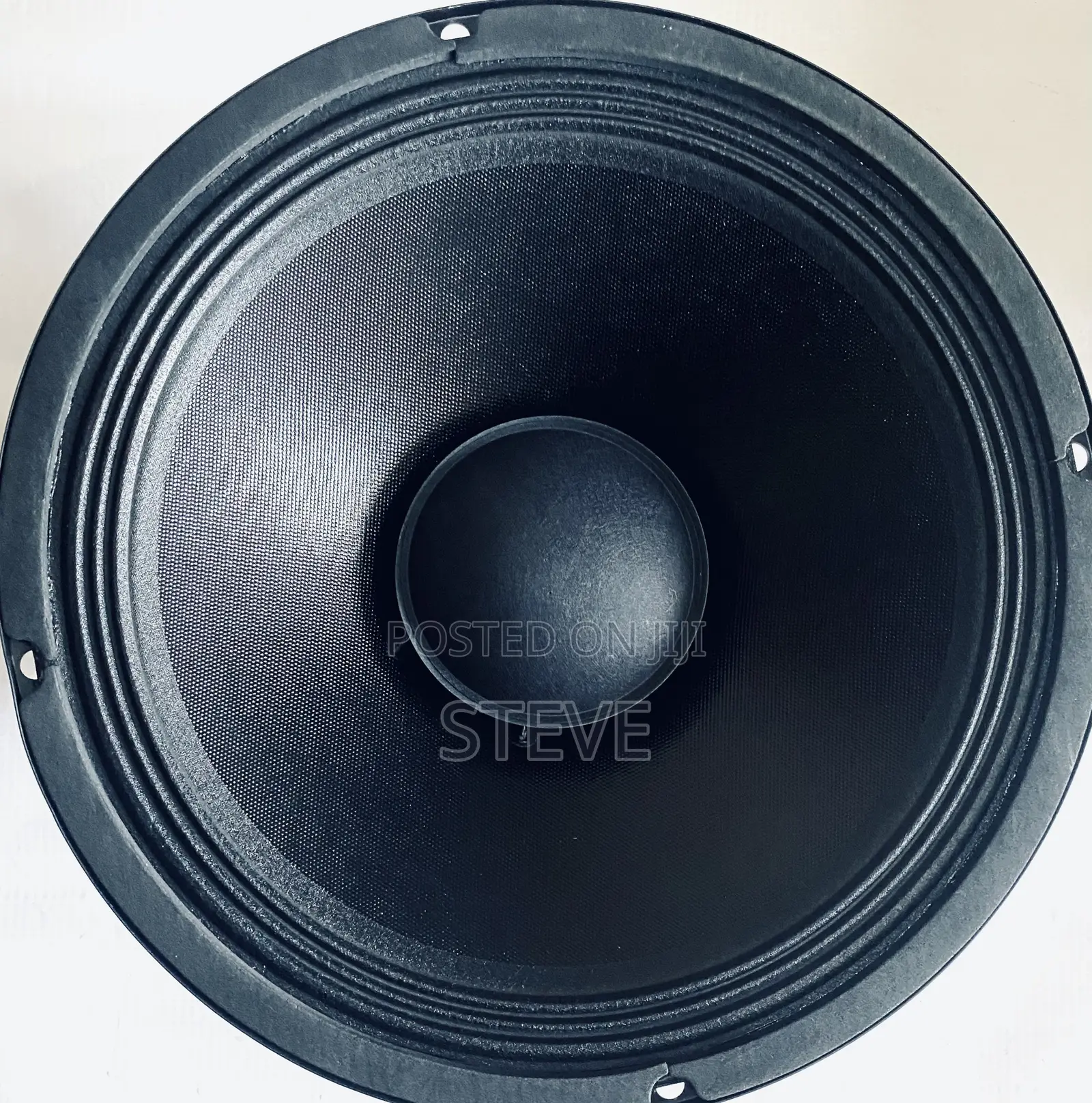 12 Inches Replacement Naked Speaker