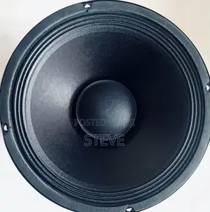 12 Inches Replacement Naked Speaker