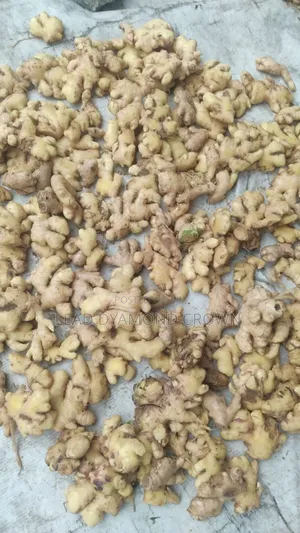 Dried Splits Ginger