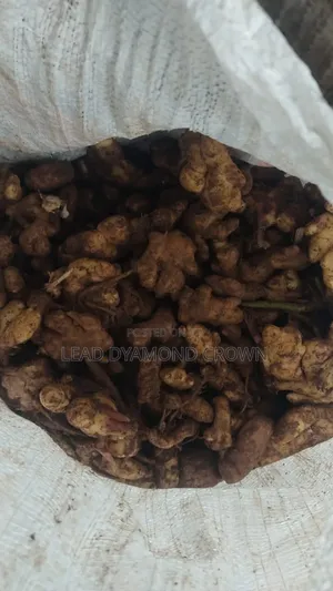 Dried Splits Ginger