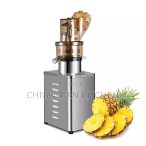 Industrial Fruit Juicer Machine