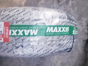 245/55r19 Maxxis Tyre