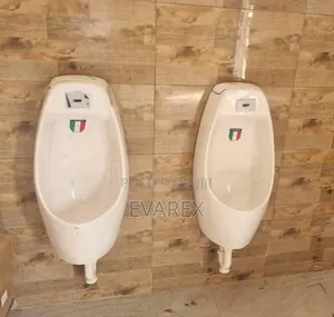 Executive Urinal With Censor