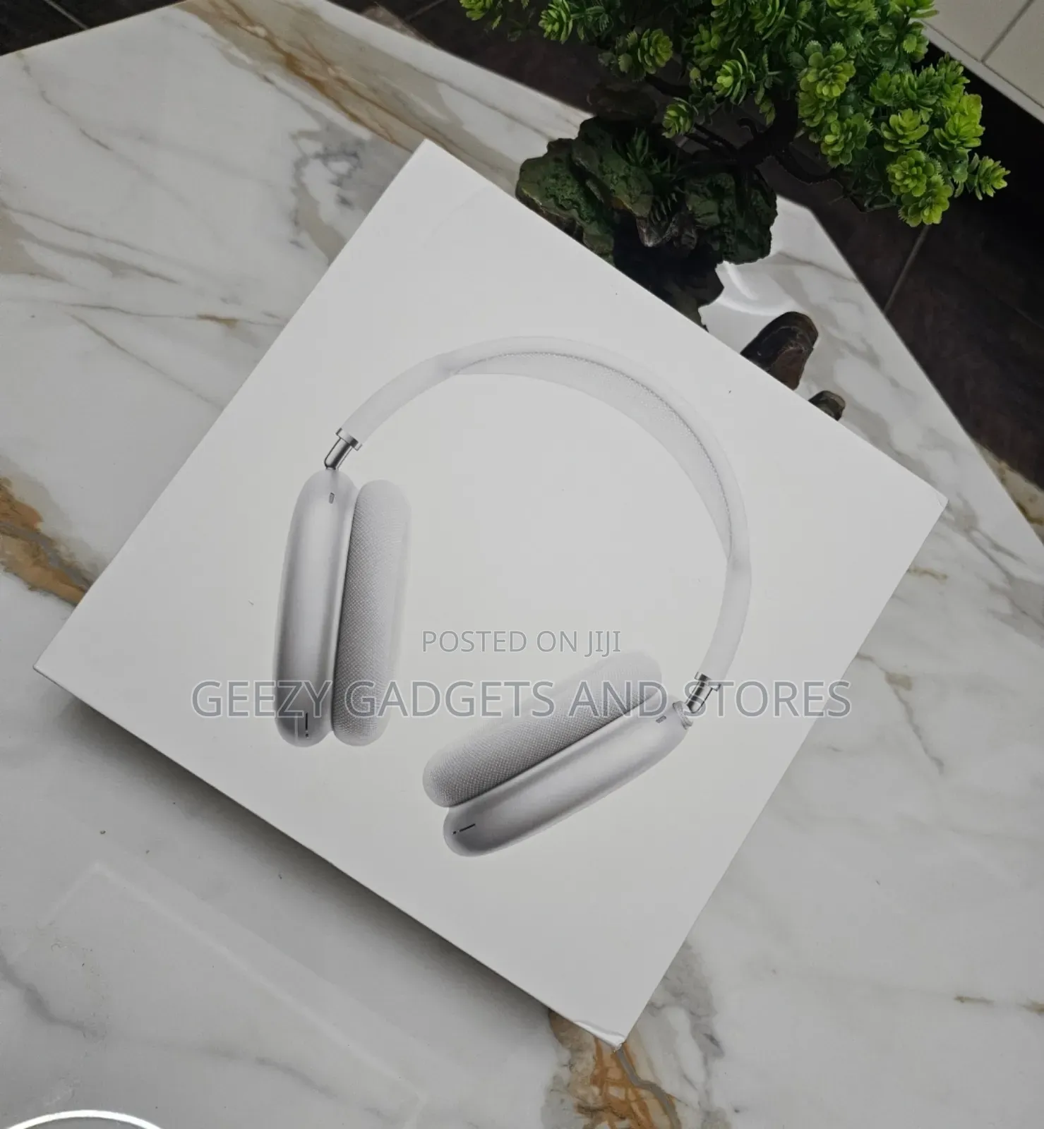 Airpod Max 1st